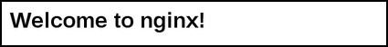 Now you should see the nginx welcome screen