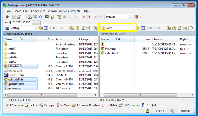 Transfer files with winscp cannot connect to teamviewer server