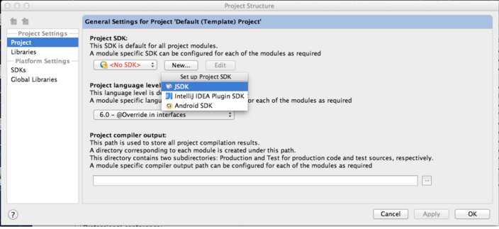 IntelliJ project structure